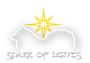 Spark of Lights – Finnischer Lapphund Zucht in Österreich